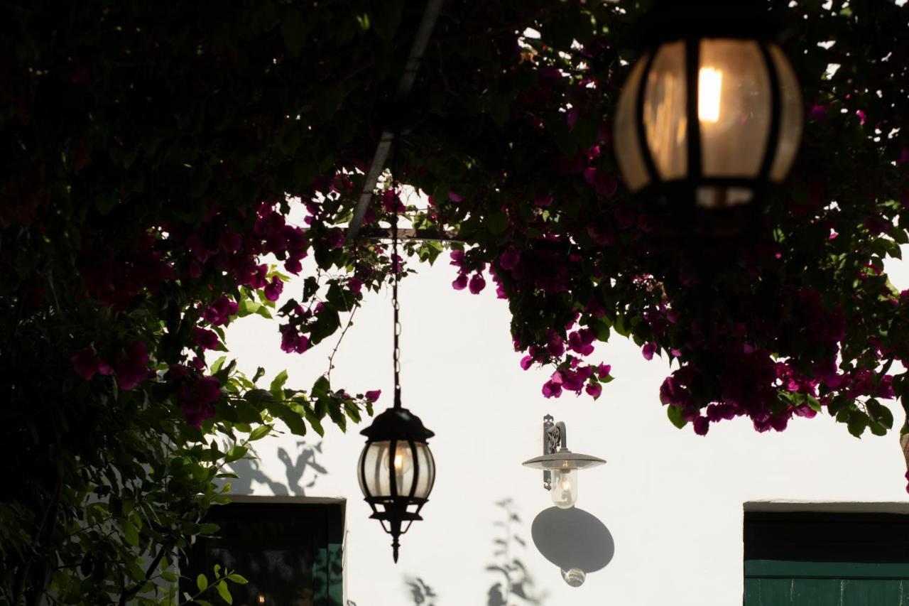리케일 Don Alfonso Dimora D'Epoca B&B 외부 사진