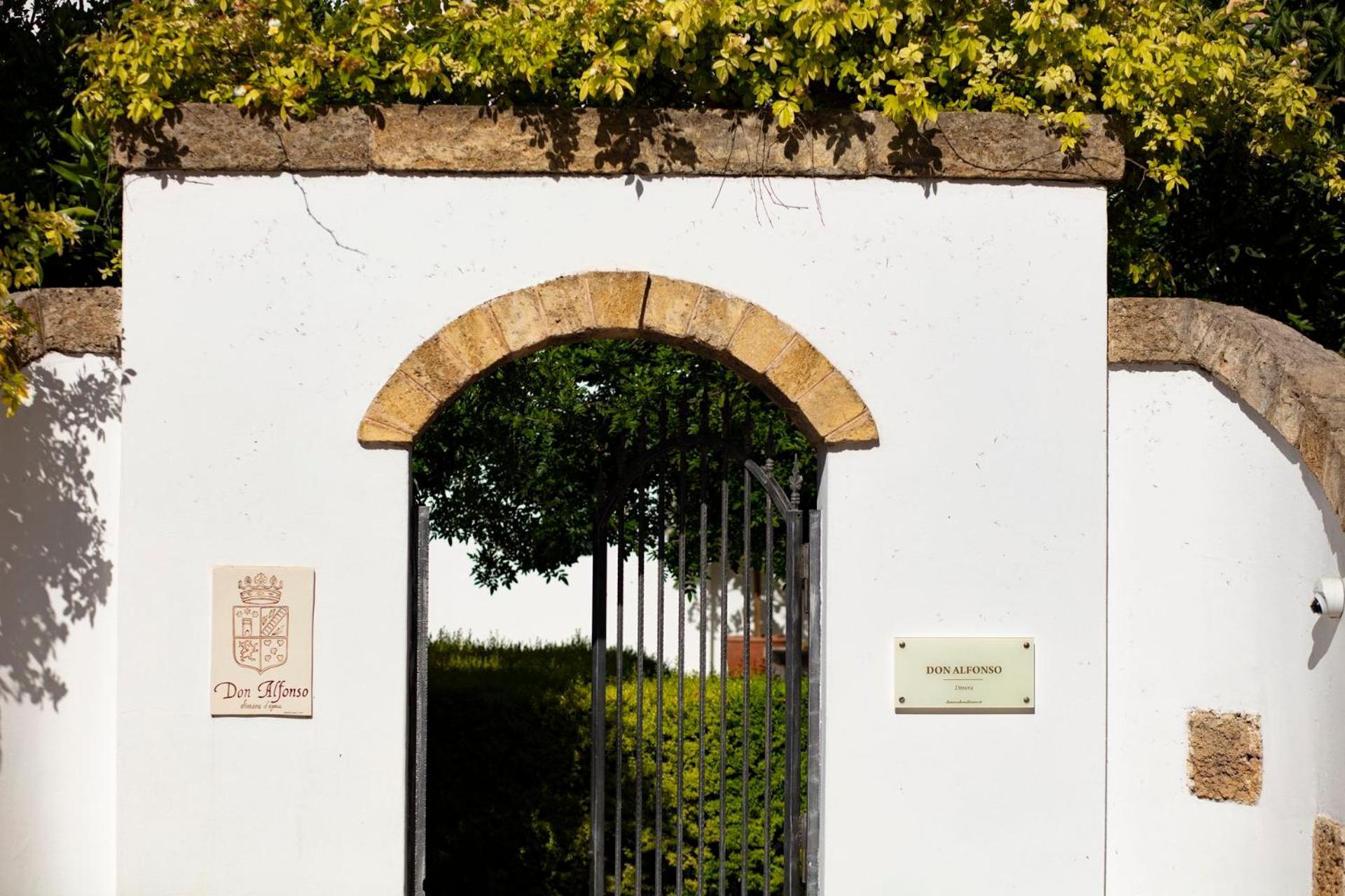 리케일 Don Alfonso Dimora D'Epoca B&B 외부 사진